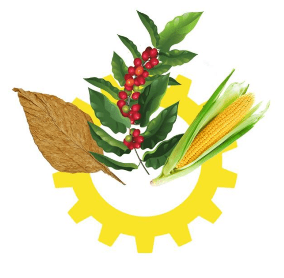 Logotipo de la bandera de Danli