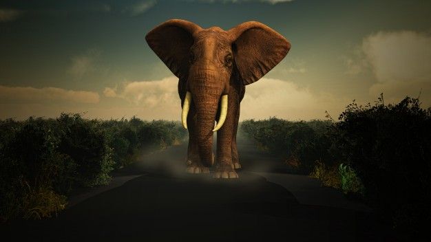 Elefantes Gigantes En Danlí